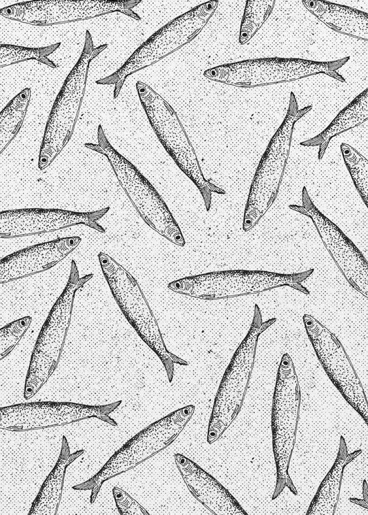 Sardine Fish Pattern | Poster