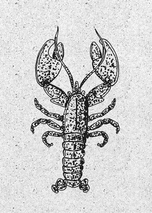 Lobster Ink Print | Canvas