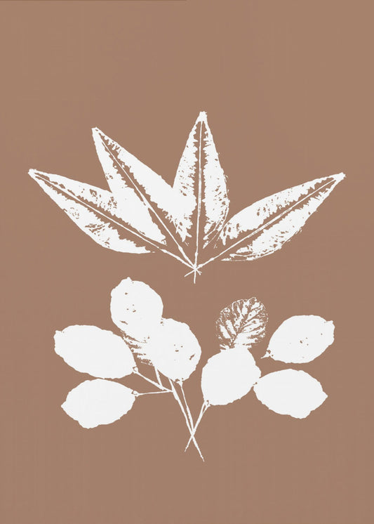 Botanical Silhouettes | Poster