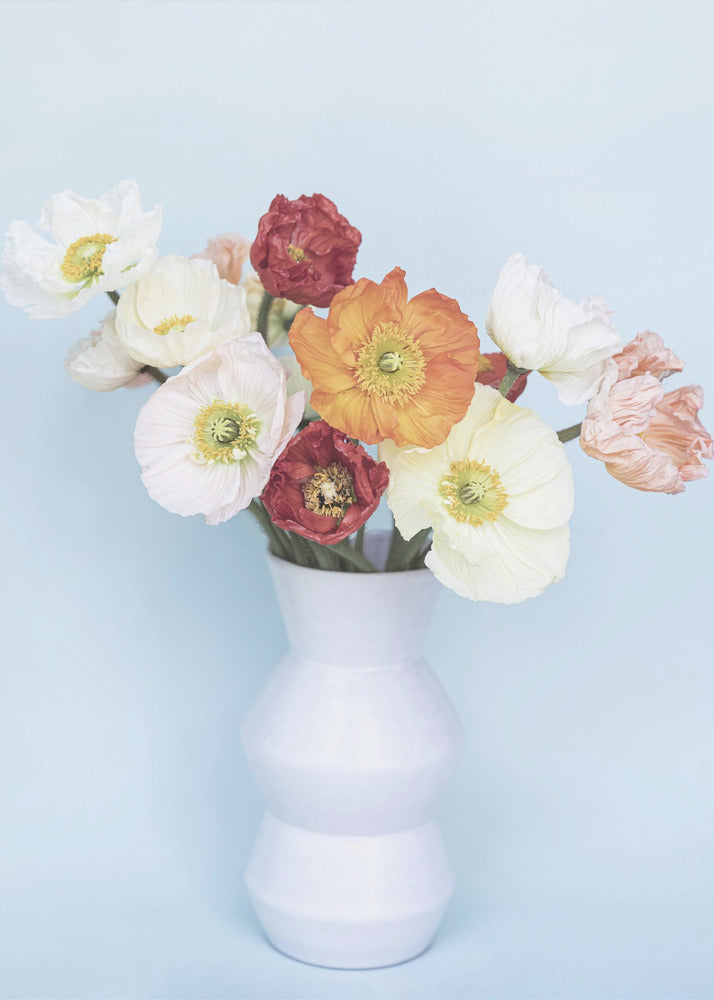 Poppies In a Vase | Poster