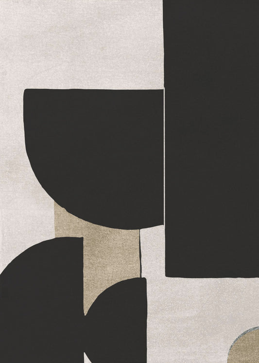 Shadow Play Forms | Canvas