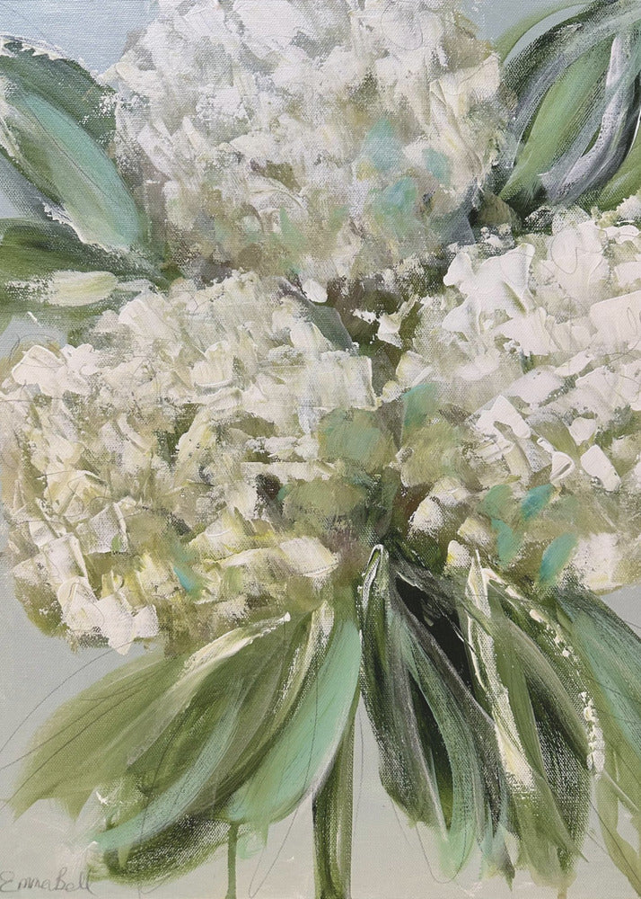 White Hydrangeas with Lush Green Leaves | Poster