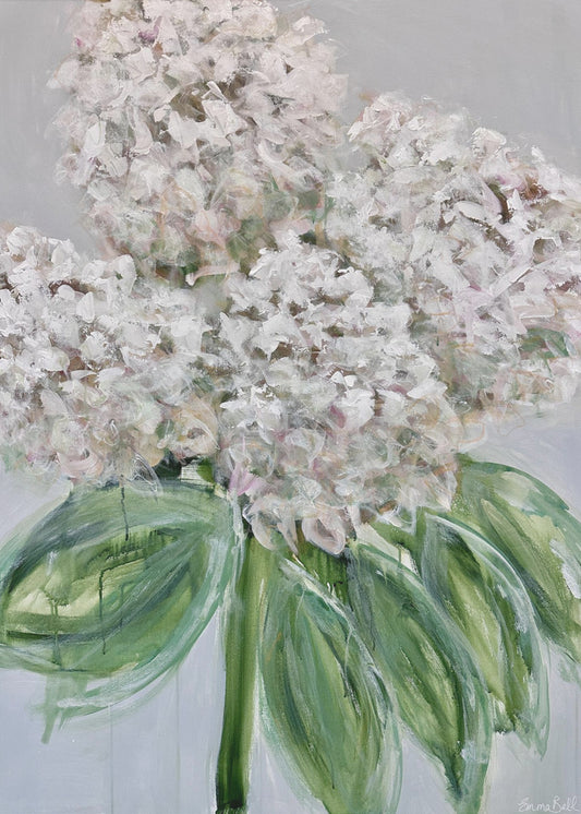 White Hydrangea Bloom | Poster