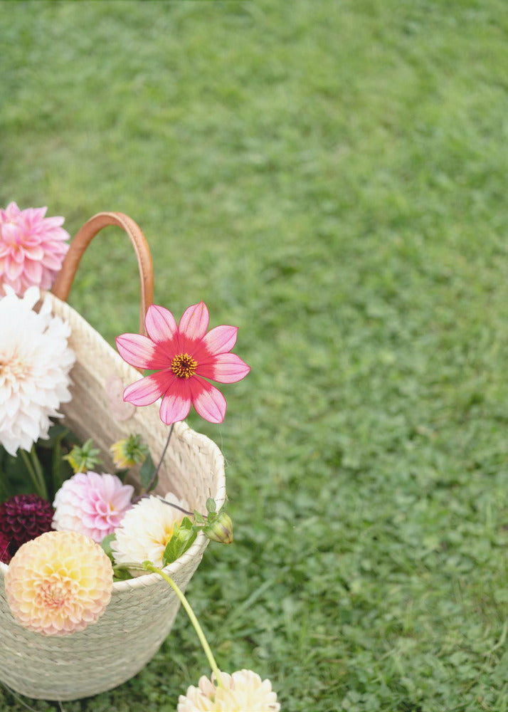 Colorful Flowers In A Basket | Canvas