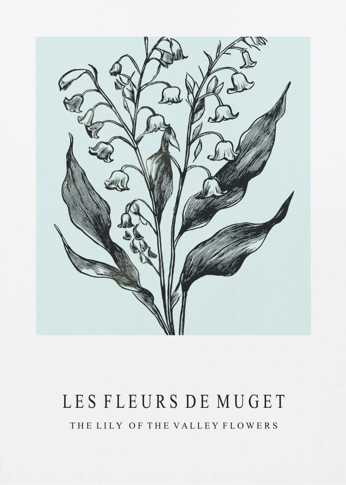 Lily of the Valley Flowers In A Monochrome Illustration | Poster
