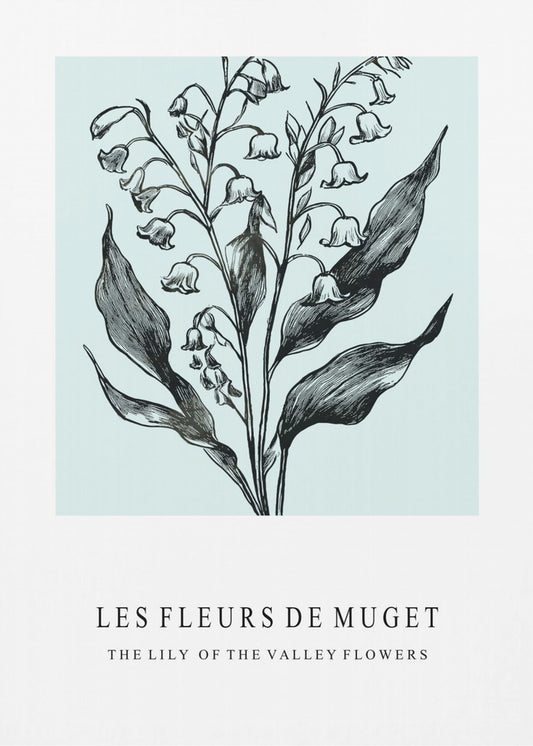 Lily of the Valley Flowers In A Monochrome Illustration | Poster