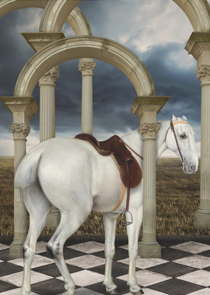 A Lady's Grey Hunter | Poster