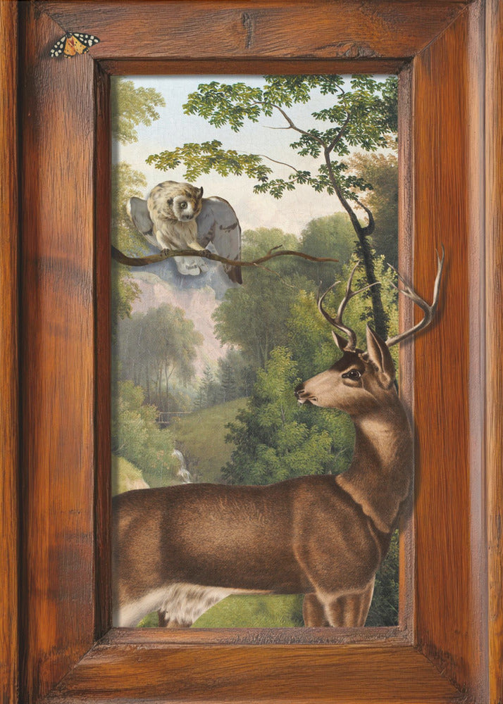 Tales of Owls and Deer | Canvas