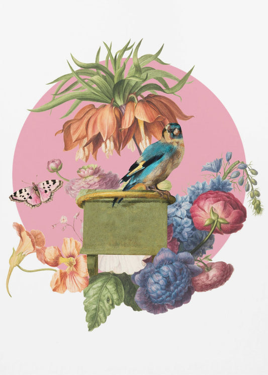 Colorful Bird Perched On A Box | Canvas