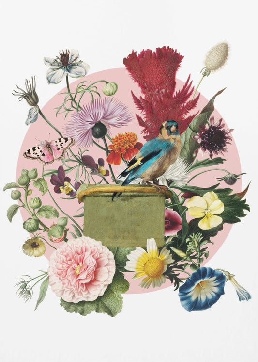 Colorful Bird Perched On A Box | Poster