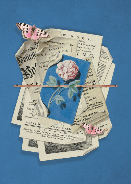 Pink Rose Surrounded By Vintage Paper | Canvas