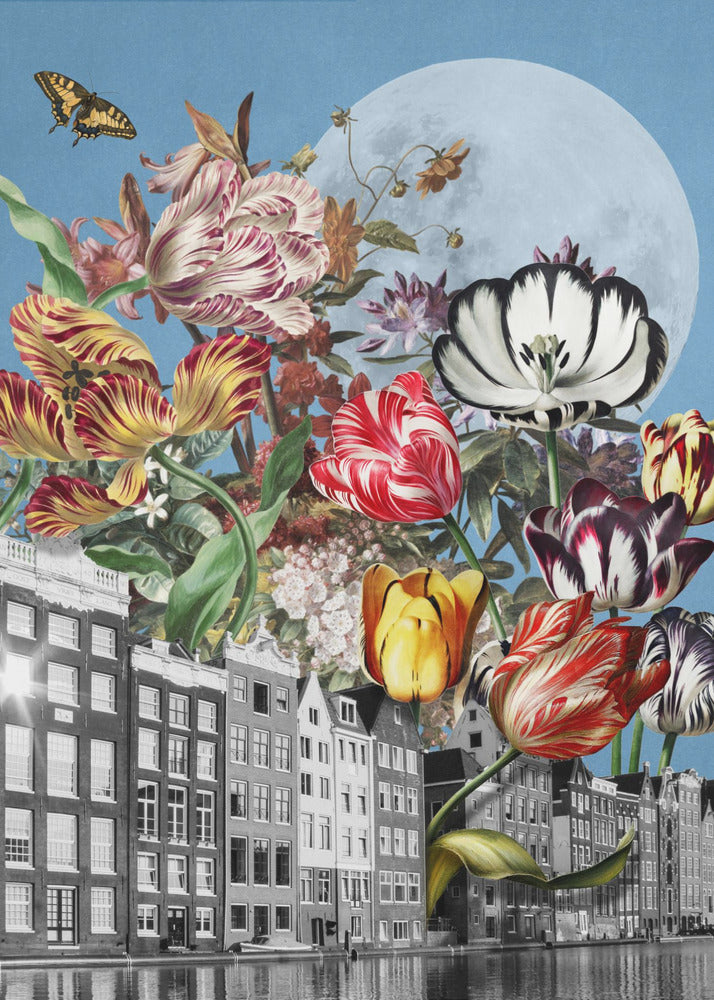 Vibrant Tulips And Intricate Butterflies | Poster