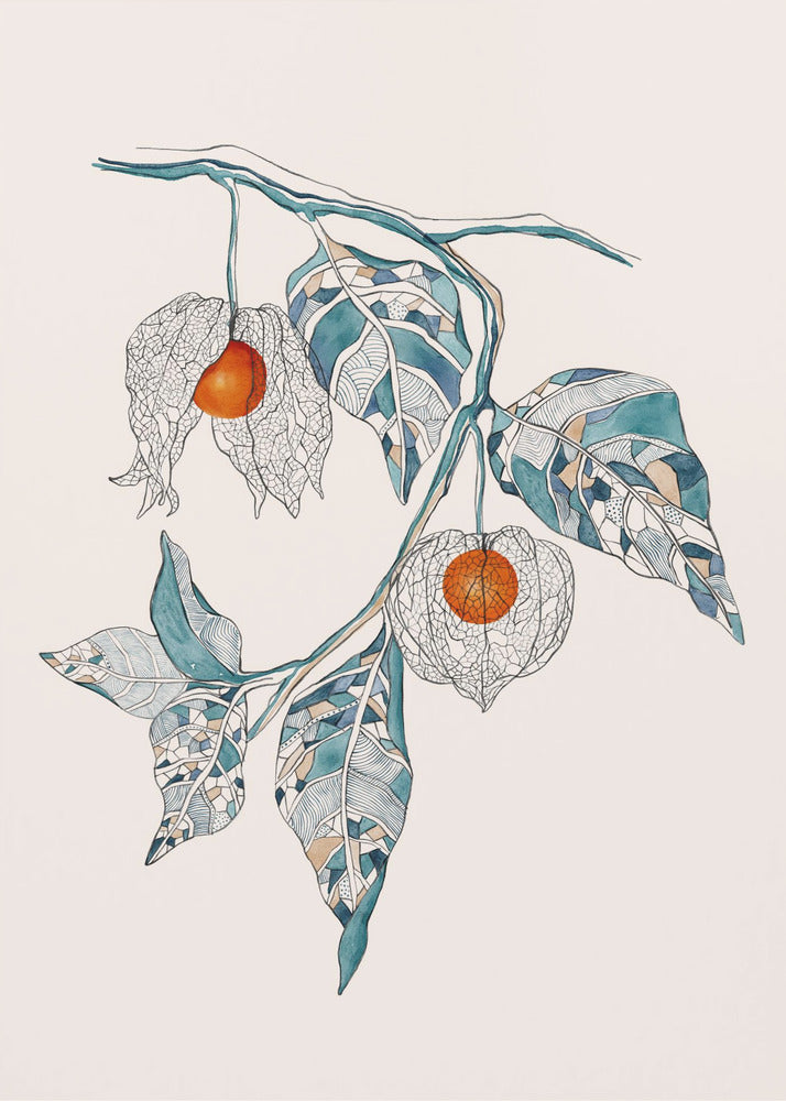Chinese Lantern | Canvas