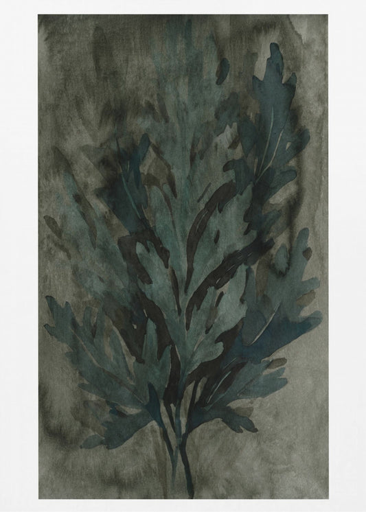 Deepwater Bloom 3 | Canvas