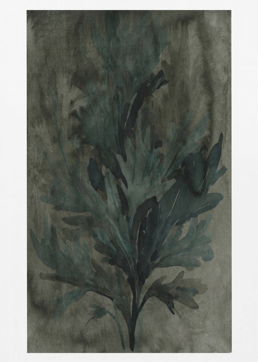 Deepwater Bloom 2 | Canvas