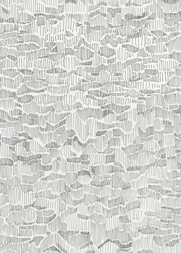 Reflections on Water Doodle | Canvas