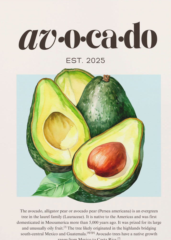 Avocado | Canvas