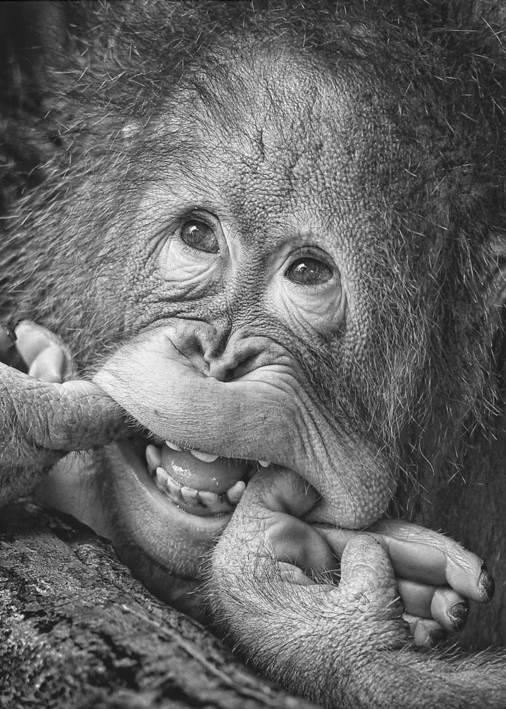 Big Smile.....please | Poster