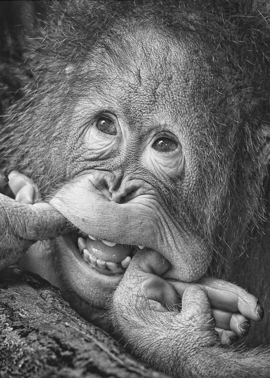 Big Smile.....please | Canvas