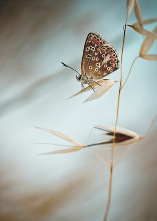 Dream in blue | Canvas