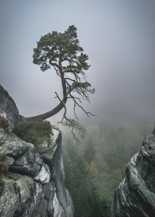 Against the Odds | Poster