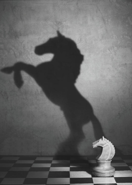 The soul of a mustang | Poster