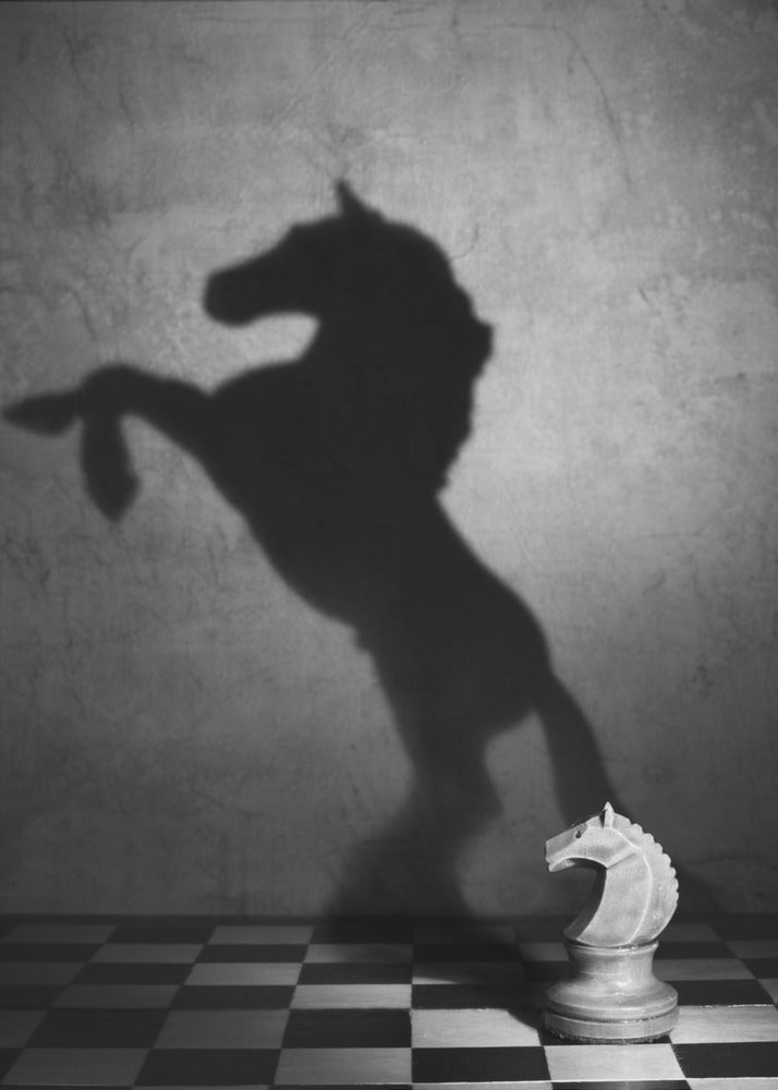 The soul of a mustang | Canvas