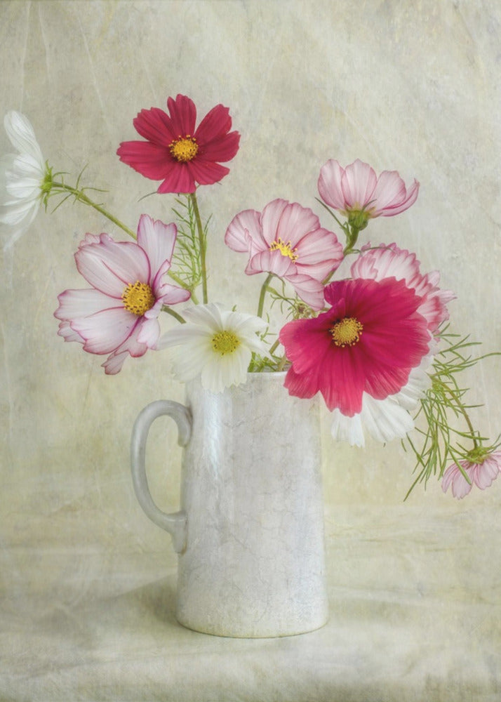 Cosmos carnival | Canvas