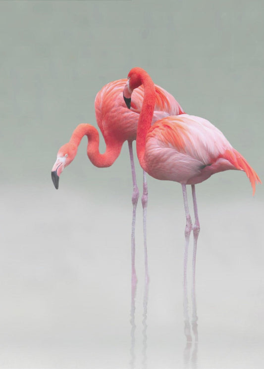 just we two ... | Canvas