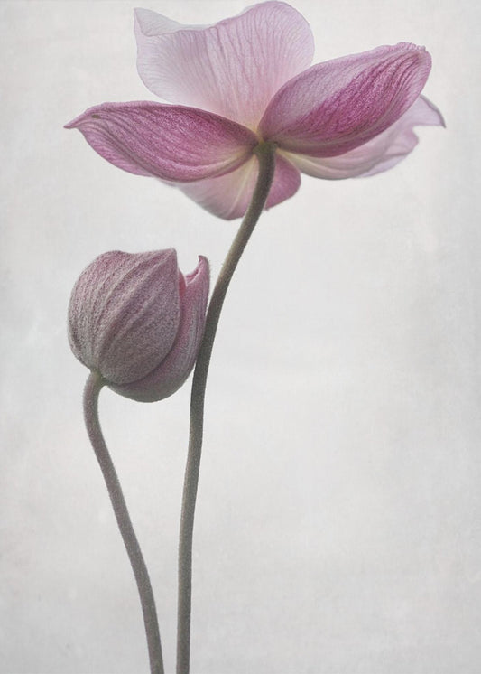 A Little Touch | Poster