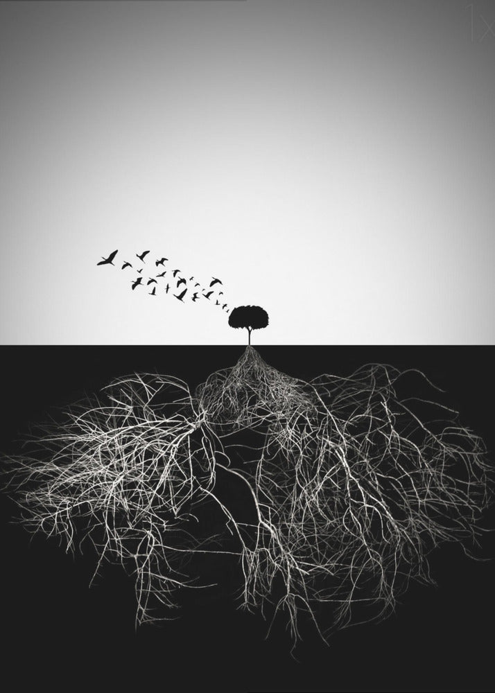 Do not judge according to appearance | Canvas