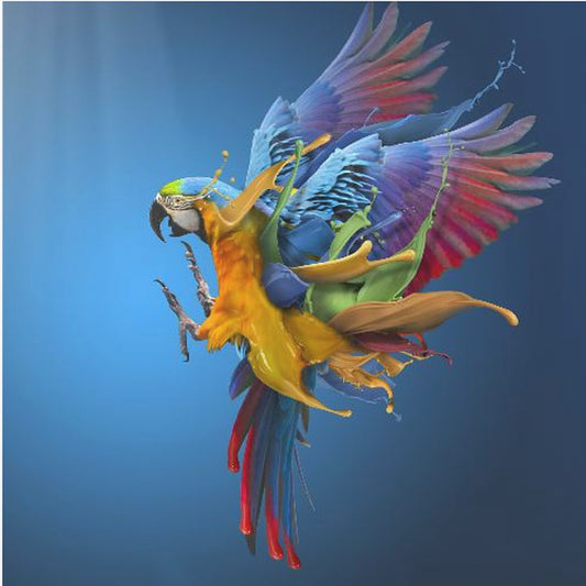 Flying Colours | Canvas