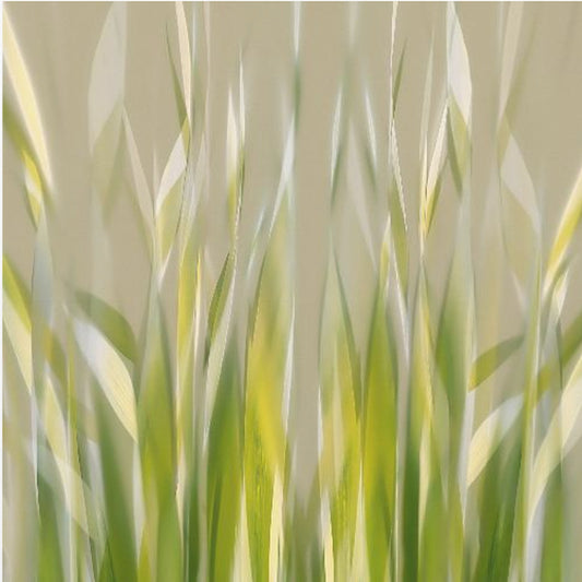 Dancing reed | Poster