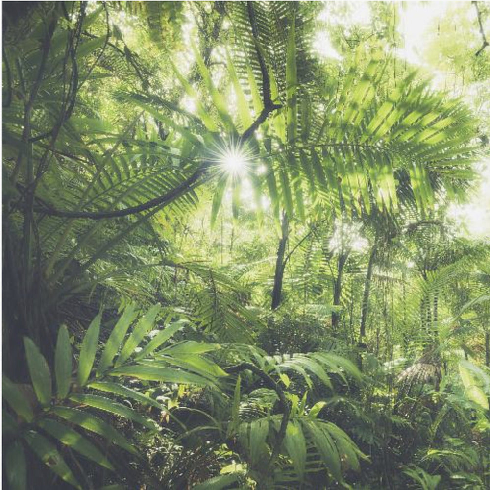 Jungle Flair | Poster