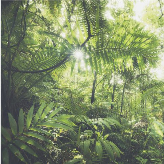 Jungle Flair | Canvas