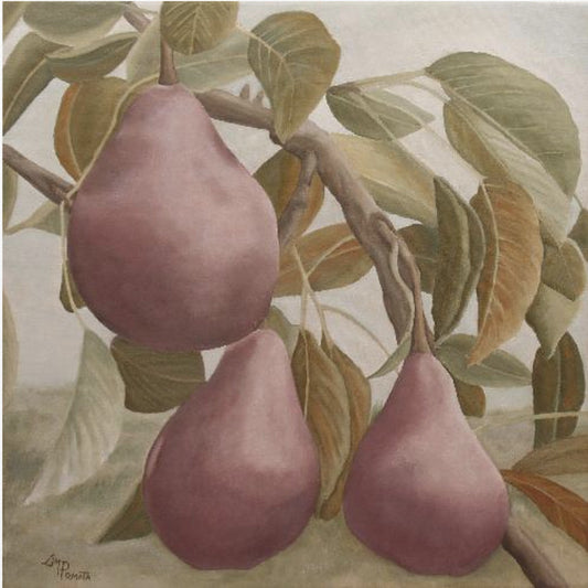 Max Red Bartlett Pears | Poster