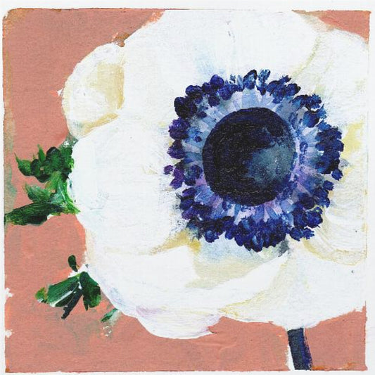 Anemone | Canvas