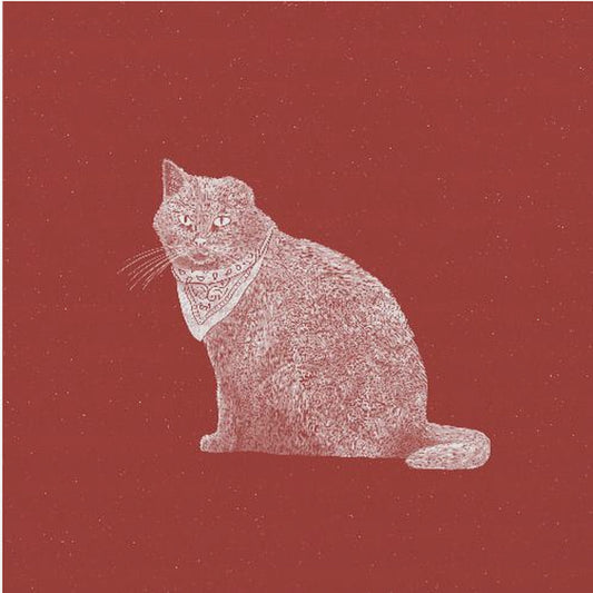 Badass Bandit Cat | Poster