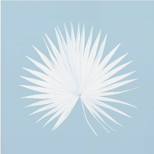 Tropical Blue 1 | Poster