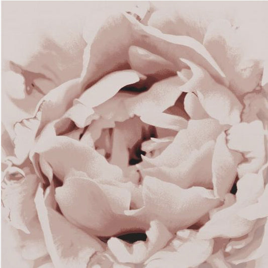 Delicate Peony Flower | Canvas