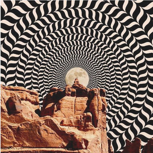 The Real Road Trip | Poster